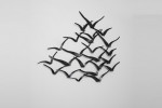 3D Wall Art - Flock of Birds -