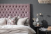 Bella - Dual Function Bed - Queen - Vintage Pink Queen Size Beds - 9