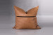 Javan Tan - Duck Feather Scatter Cushion Scatter Cushions - 2
