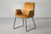 Shaw Dining Chair - Aged Mustard -