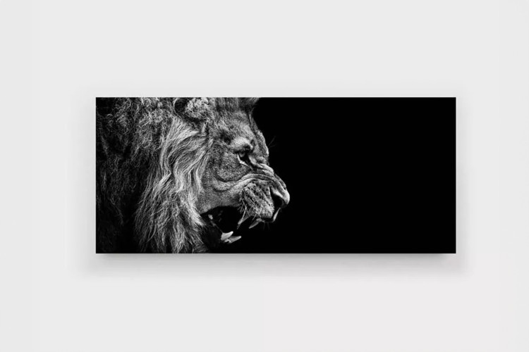 Lion Roars Canvas - Large Canvas Art - 1