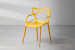 Lena Dining Chair - Mustard Dining Chairs - 3