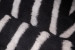 Zebra Black & White - Duck Feather Scatter Cushion Scatter Cushions