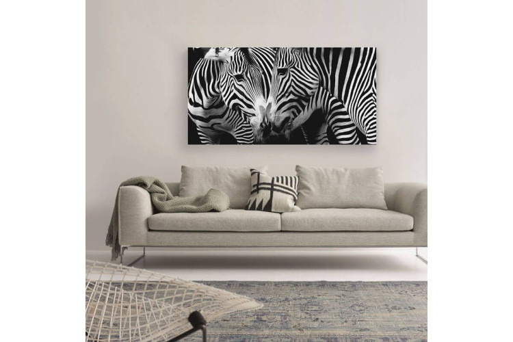 CAN-004 - Zebra Reflection Canvas Art -