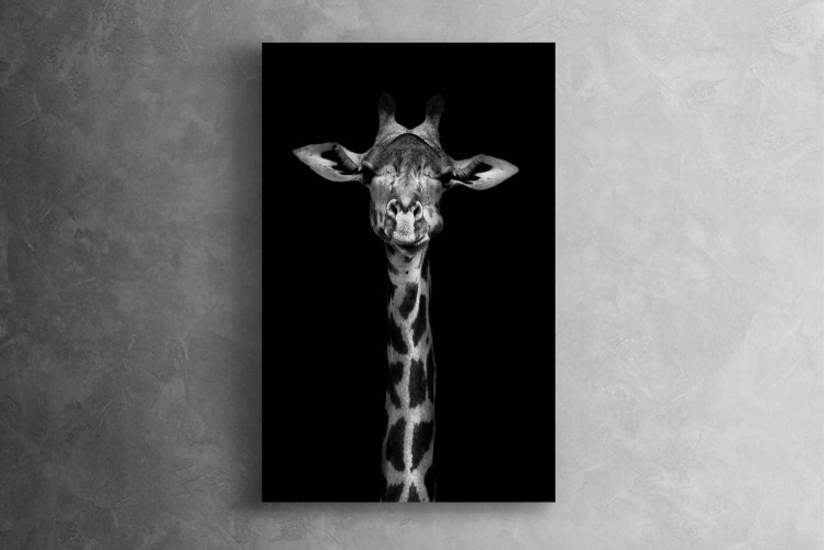 Giraffe Canvas Canvas Art - 1