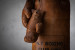 Stallone Leather Boxing Bag & Gloves - Bourbon Decor - 4