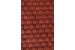 Anora Throw - Large - Rust Throws - 5
