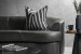 Zebra - Duck Feather Scatter Cushion Scatter Cushions - 1