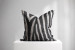 Zebra - Duck Feather Scatter Cushion Scatter Cushions - 2