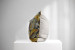 Folorium Limelight - Duck Feather Scatter Cushion Scatter Cushions - 5