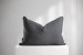 Windward Tinsel Gargoyle - Duck Feather Scatter Cushion Scatter Cushions - 3