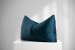 Windward Posy Marina - Duck Feather Scatter Cushion Scatter Cushions - 4