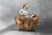 Lyra Teakroot Coffee Table - Semicircle Coffee Tables