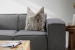 Haldon Gris - Duck Feather Scatter Cushion Scatter Cushions - 4