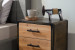 Reuben 2 Drawer Pedestal Pedestals and Bedside Tables - 6