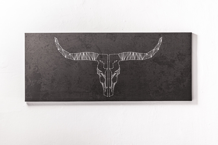 Premium Canvas - Longhorns - Large Canvas Art - 1