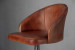 Bronson Leather Tall Bar Stool - Vintage Brown Bar & Counter Chairs - 8