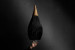 Lumba Pendant Pendants - 2