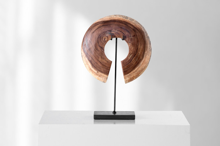 Zazu Wooden Sculpture - Large Sculptural Art - 1