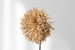 Nala Decorative Art - Medium Sculptural Art - 5