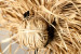 Nala Decorative Art - Medium Sculptural Art - 7