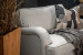 Joplin Loveseat - Pearl Armchairs - 7