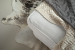 Joplin Daybed - Pearl Daybed Couches - 7