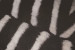 Zebra Black & White - Duck Feather Scatter Cushion Scatter Cushions - 4