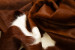 Nguni Cow Hide - Medium Hides - 3