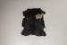 Nguni Cow Hide - Medium Hides - 2