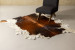 Nguni Cow Hide - Medium Hides - 1