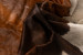 Nguni Cow Hide - Medium Hides - 4