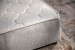 Lyla Dual Function Bed - Single - Bone Kids Single Beds - 5