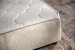 Lyla Dual Function Bed - Three Quarter - Ivory Kids Three Quarter Beds - 5