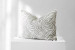 Tribal Zebra Silver - Duck Feather Scatter Cushion Scatter Cushions - 2