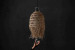 Rafiki Pendant Lamps & Pendants - 2