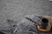 Oasis Rug - Charcoal Rugs - 4
