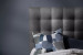 Alexa Dual Function Bed - Single - Ash Single Beds - 10