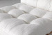 Fidel Lounge Chair - Bone Lounge Chairs - 8