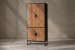 Newport Storage Cabinet Storage and Display Units - 3