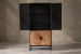 Newport Storage Cabinet Storage and Display Units - 5