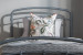 Larissa Bed - Charcoal Kids Beds - 2