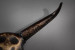 Metal Sculpture - Corriente Metal Art - 7