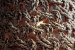 Taiga Pendant - Medium Lamps & Pendants - 5
