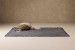 Turan Rug Home - 2