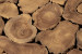 Lyra Teakroot Coffee Table - Square Coffee Tables - 7