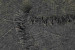 Mura Rug Rugs - 6