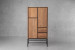 Demo - Banx Storage Cabinet Home - 1