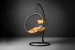 Evora Hanging Chair Home - 2