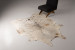 Brazilian Cow Hide - Large Hides - 1